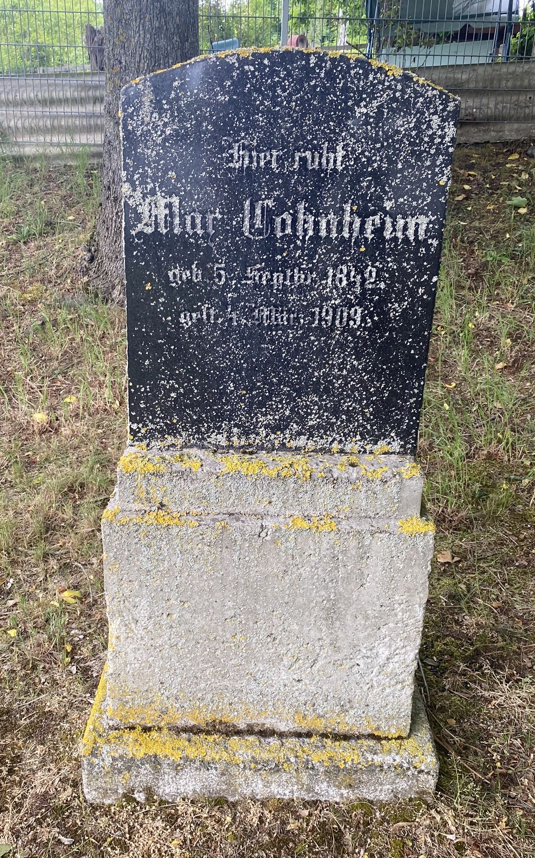 Der jüdische Friedhof in Demmin (Kreis Mecklenburgisches Seenplatte)